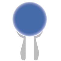 The Watson Firm logo