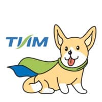 TEAM Consulting group logo