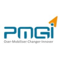 PMGI CONSULTING logo