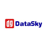 DataSky Oy logo