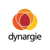Dynargie Brasil logo