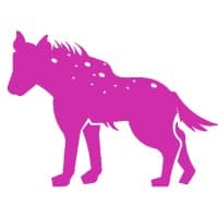 Hyena Digital logo