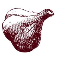 Screaming Garlic logo