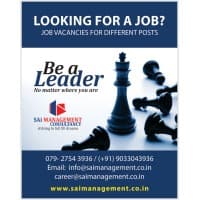 SAi Management Consultancy logo