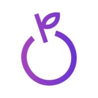 VerriBerri Digital logo