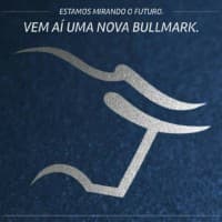 BullMark Investimentos logo