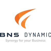 BNS Dynamic logo