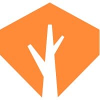 Diamond + Branch logo