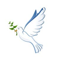A Place for Mediation logo