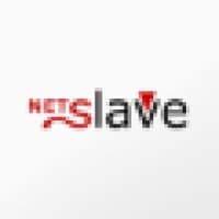 NetSlave logo