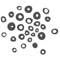 RG2 logo