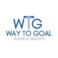 Way to Goal Business Insights logo