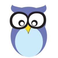 Wise Owl Marketing logo