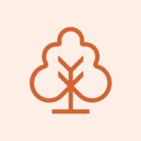 Wise Investment logo