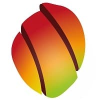 Mango ADV logo