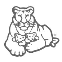 WISE International logo