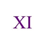 XI Technology logo