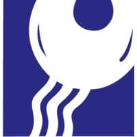 AshnaSecure logo