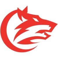 Curran Acquisitions logo