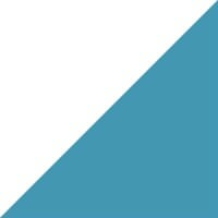 PRECISIONadvisors logo