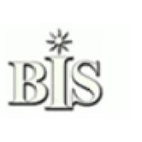 Betrons Info Systems Pvt logo