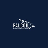 Falcon Business Intelligence logo