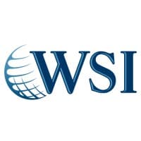 WSI Digital Solutions Group logo