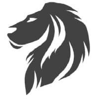 Nation Solution Provider logo
