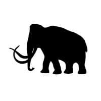 Woolly logo