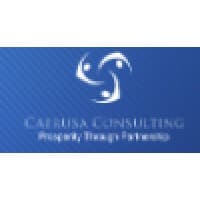 Caerusa Consulting logo
