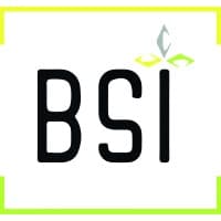 Briosque Services Informatique logo