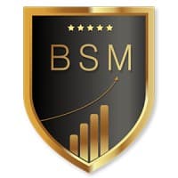 BSM BIG SOCIAL MEDIA logo