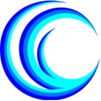 Cyberwise logo
