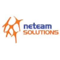 Neteam Solutions logo