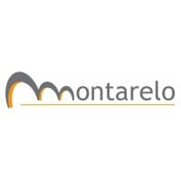 Montarelo Consulting logo