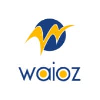 WAIOZ Consultancy Services Pvt logo