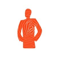 Seesing Flex I Volop vacatures logo