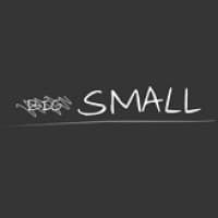 SMALL research and consultancy kids and youth market logo