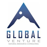 Global Venture Consulting logo