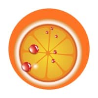 Netorange logo
