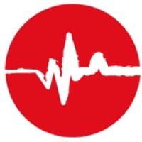 Digital Pulses logo