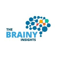 The Brainy Insights logo