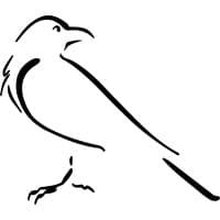 Corvus Capital Management logo