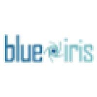 Blue Iris Creative Agency logo