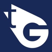 Tiny Giant Marketing Agency logo