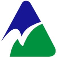 Excel Professional Services logo