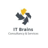 IT Brains logo