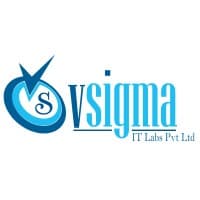 VSigma IT Labs Pvt logo