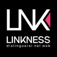 Linkness logo