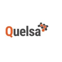Quelsa Market Research logo